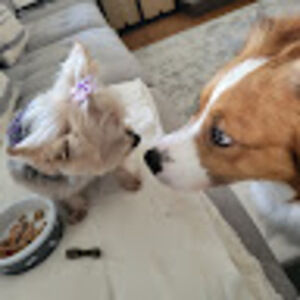 Meet your Posher, Andrea